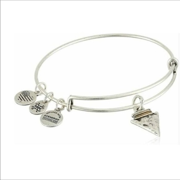 Alex and Ani Jewelry - Alex And Ani Rafaelian Bracelet